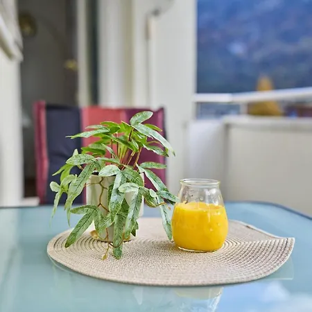Apartament Mountainview